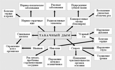 borba-s-ofitsialnymi-proizvoditelyami-sigaret1.jpg