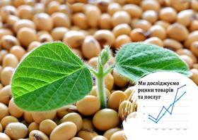 Ukrainian soy market: in 2023, the gross harvest increased by 16% compared to 2022