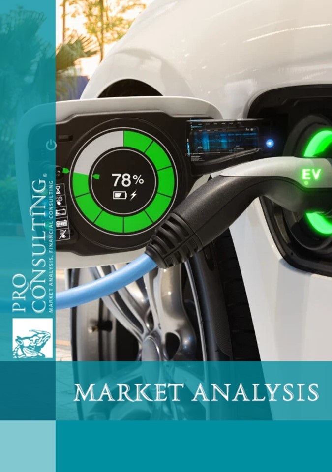 Market research report on electric cars in Ukraine. 2024 year