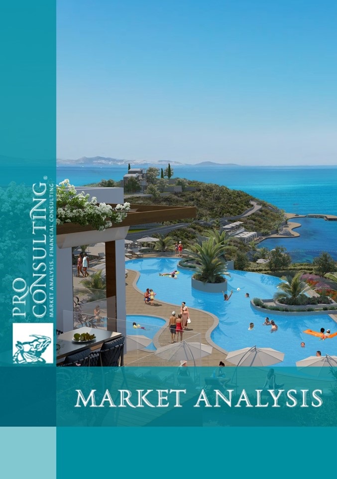 Analysis of the hotel softness market in Bodrum. 2024 year