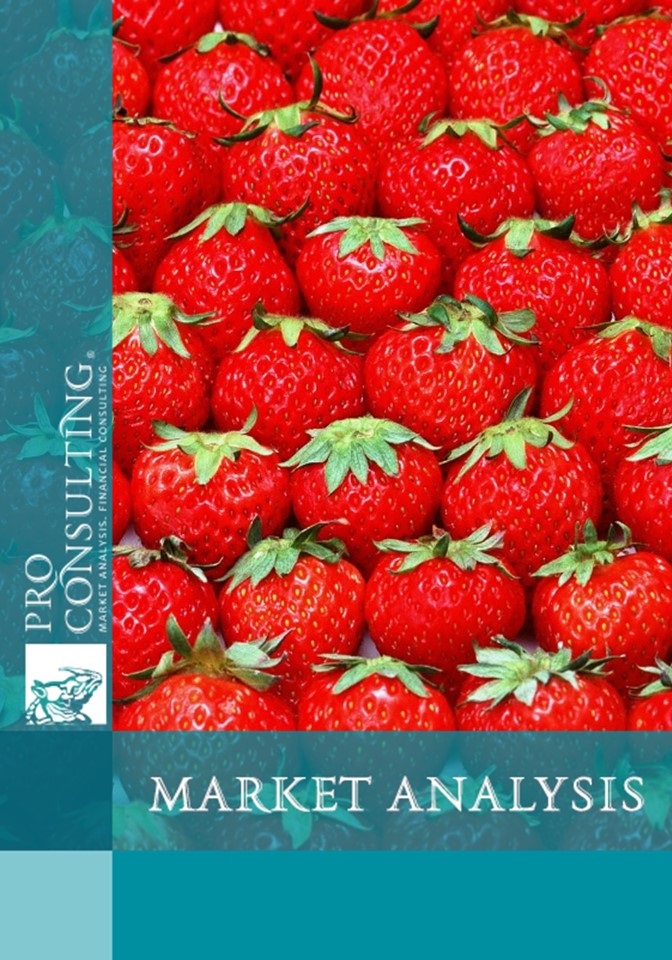 Market research report on strawberries (greenhouse). 2015