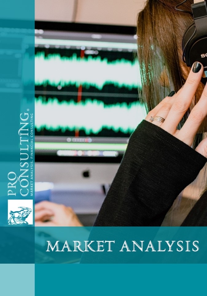 Market research report on audioanalytics systems in Ukraine. 2024 year