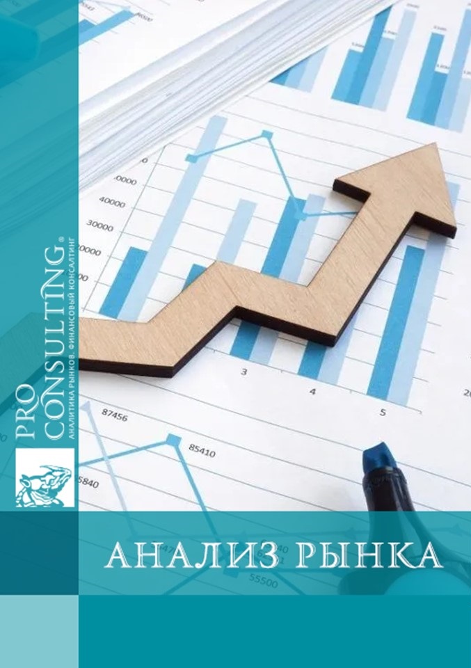 Отраслевое исследование экономического развития г. Черновцы. 2024 год